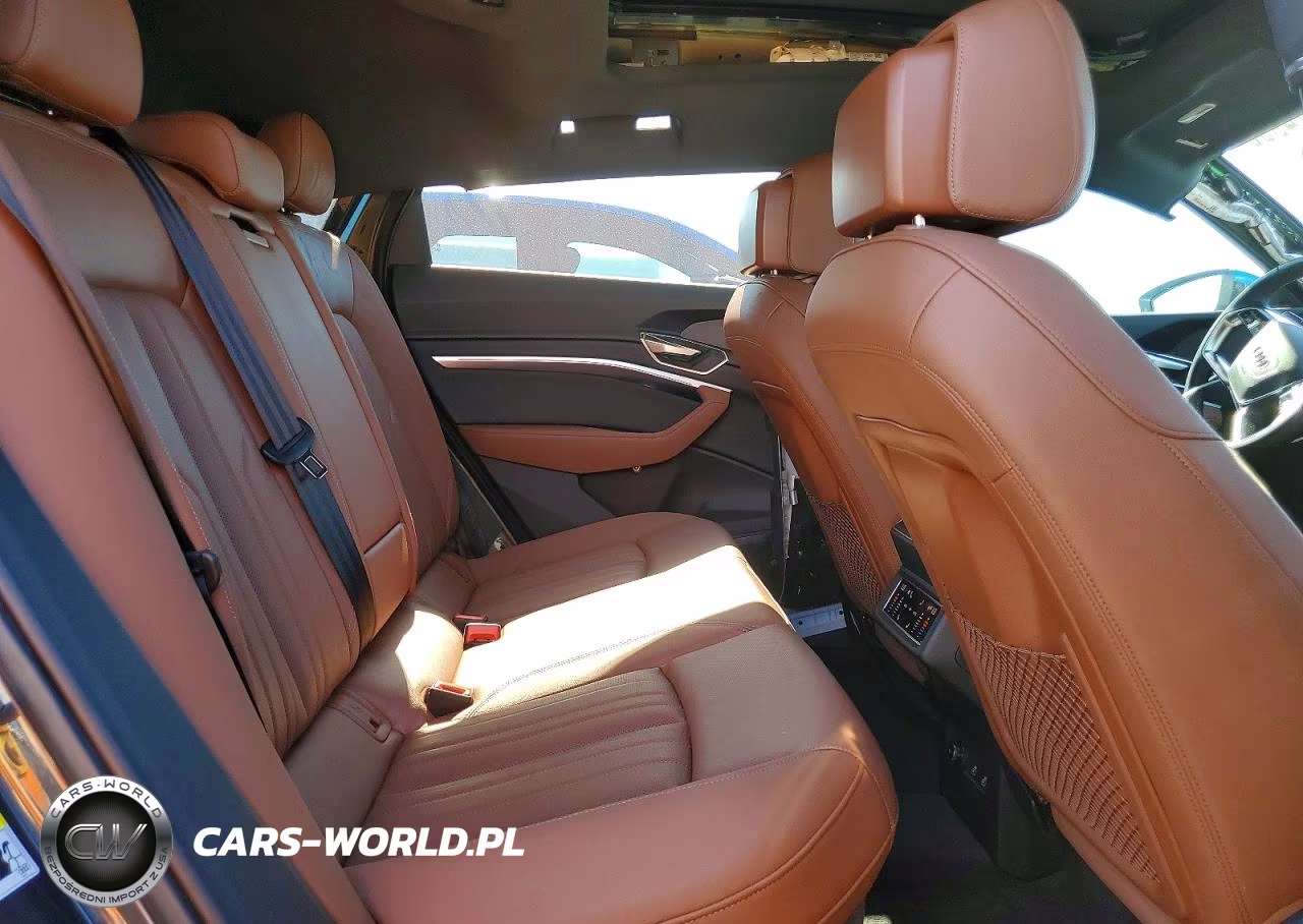 2024 Audi Q8 E-Tron Premium Plus VIN:WA15AAGE9RB020348 - 11