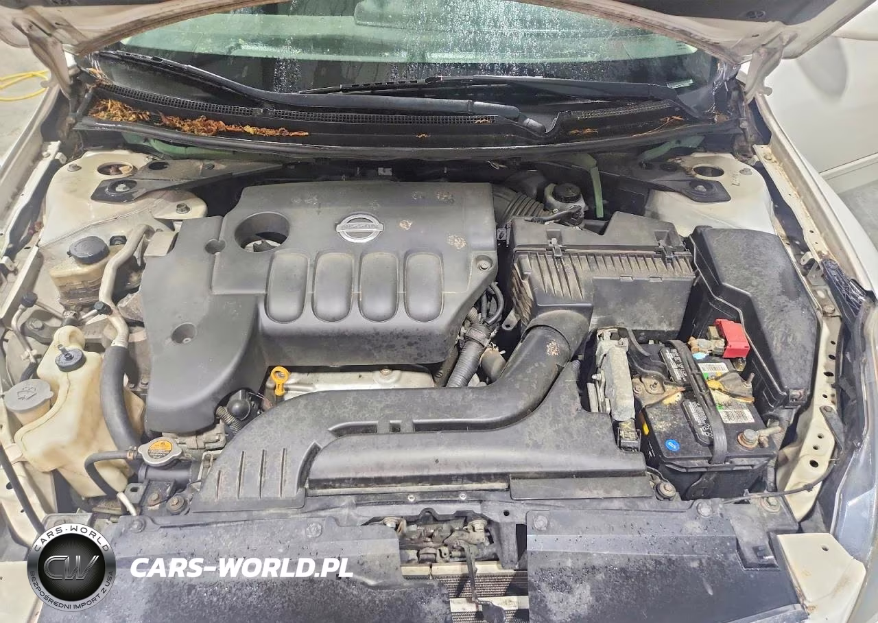 2009 Nissan Altima 2.5 VIN:1N4AL21E39N420083 - 11