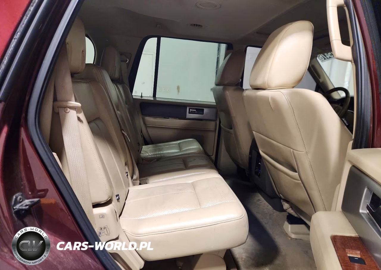 2010 Ford Expedition Eddie Bauer VIN:1FMJU1J52AEB03462 - 10
