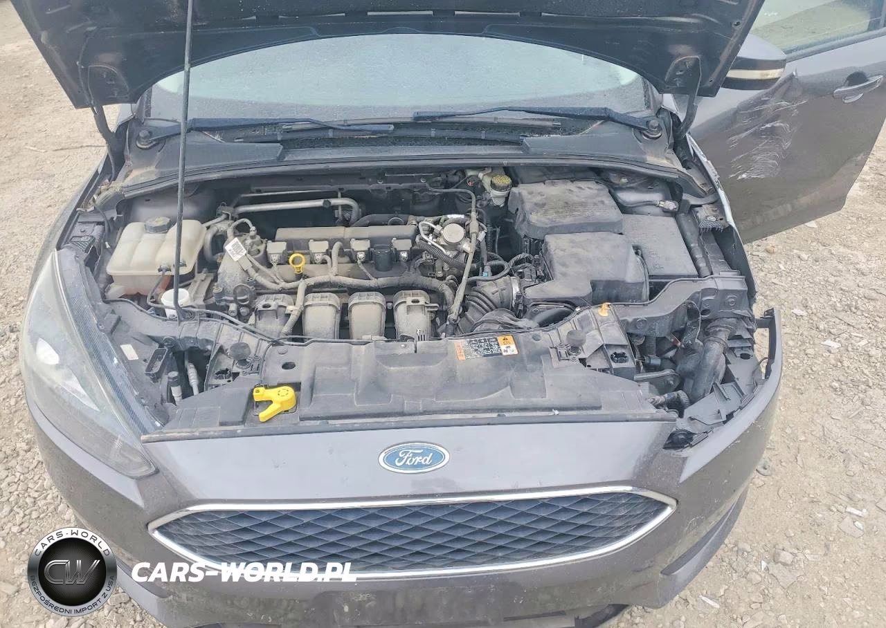 2015 Ford Focus Se VIN:1FADP3K23FL386276 - 11