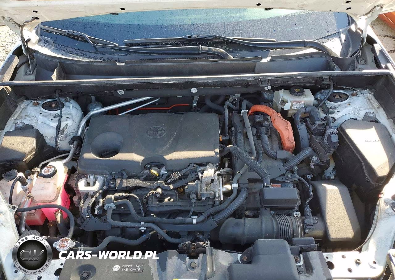 2019 Toyota Rav4 Xse VIN:JTMEWRFV9KJ021793 - 12