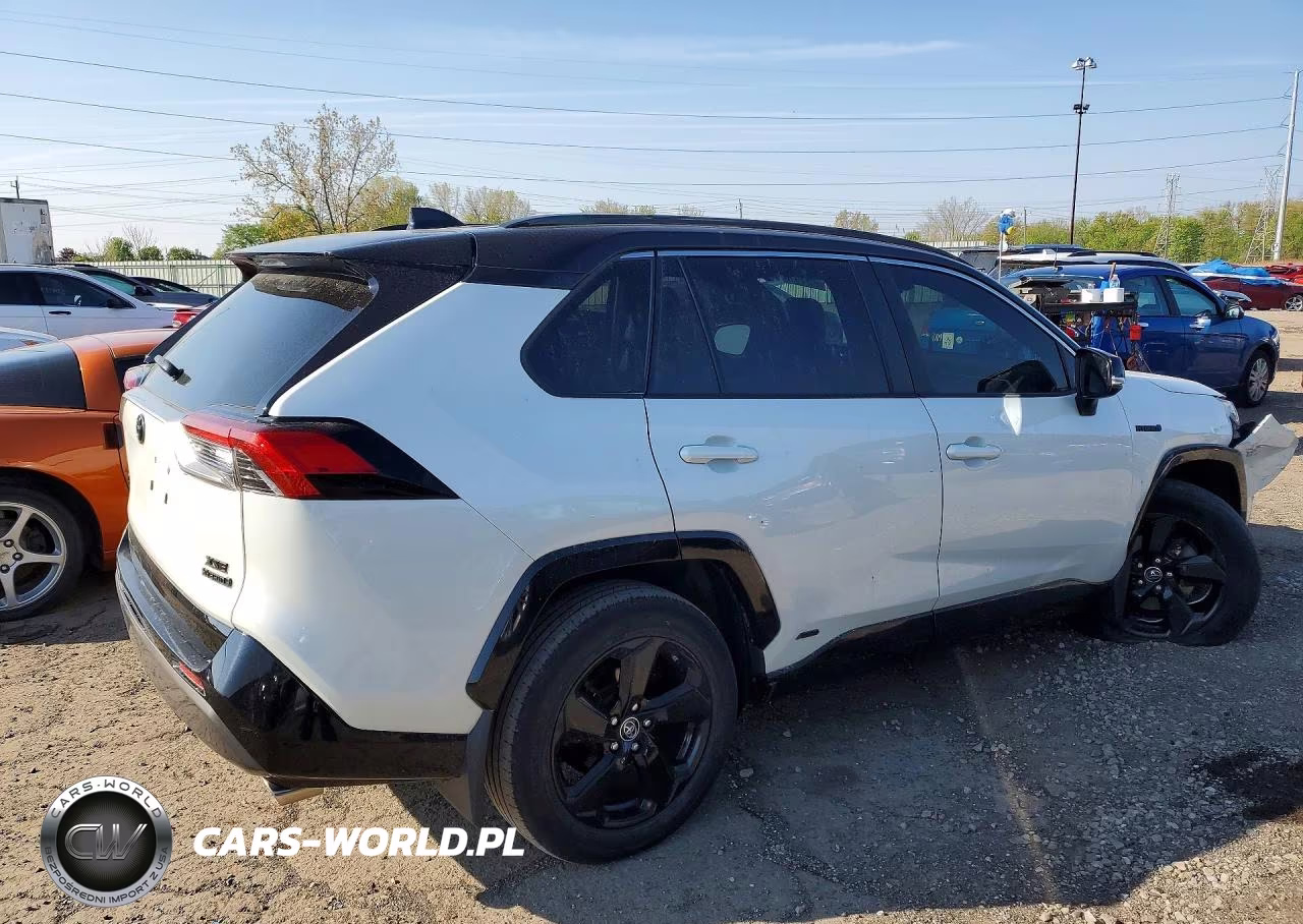 2019 Toyota Rav4 Xse VIN:JTMEWRFV9KJ021793 - 3