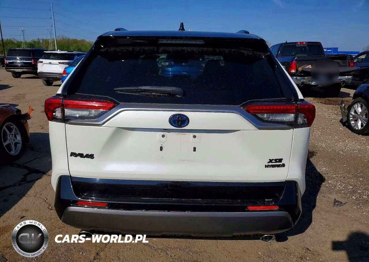 2019 Toyota Rav4 Xse VIN:JTMEWRFV9KJ021793 - 6