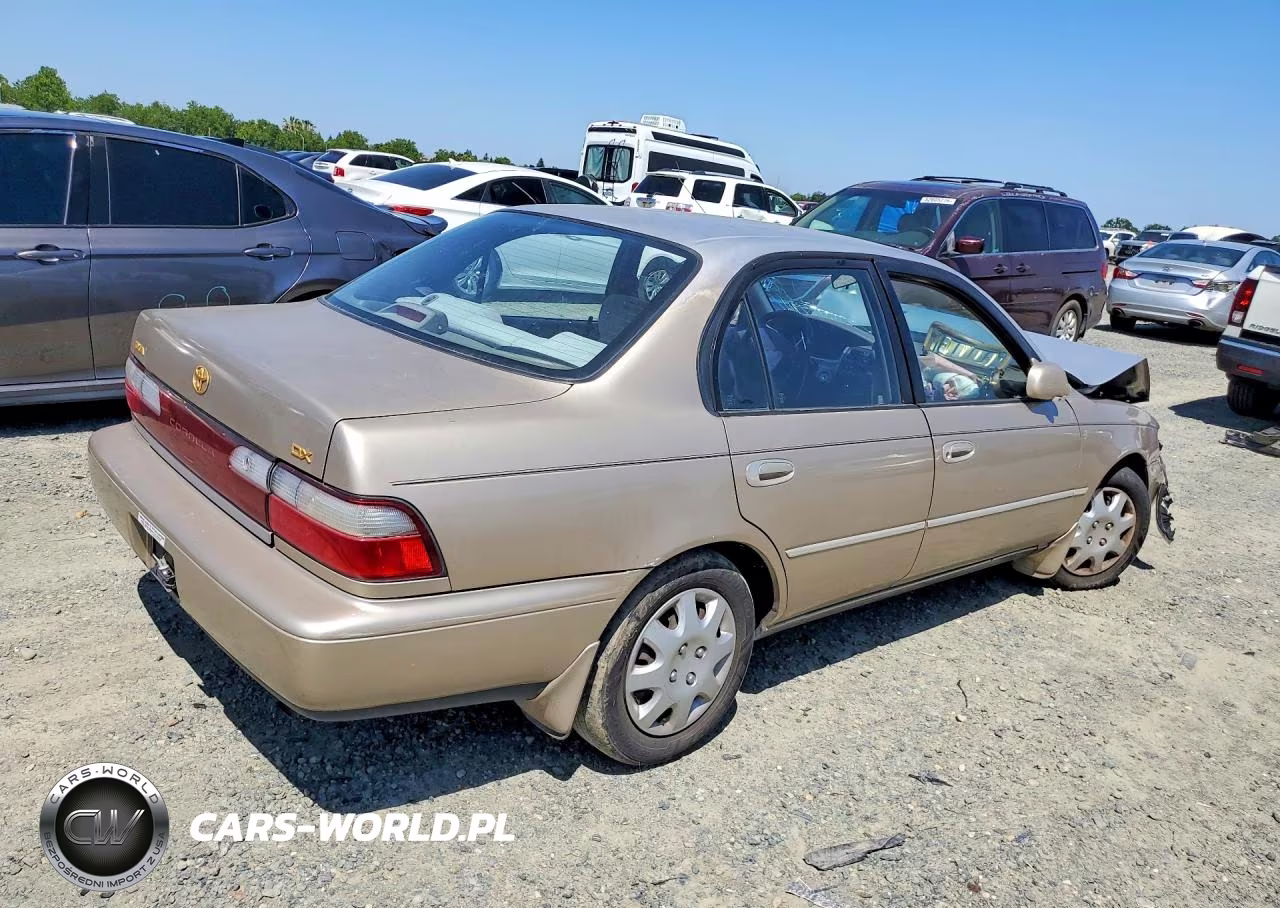 1996 Toyota Corolla Dx VIN:1NXBB02EXTZ407120 - 3