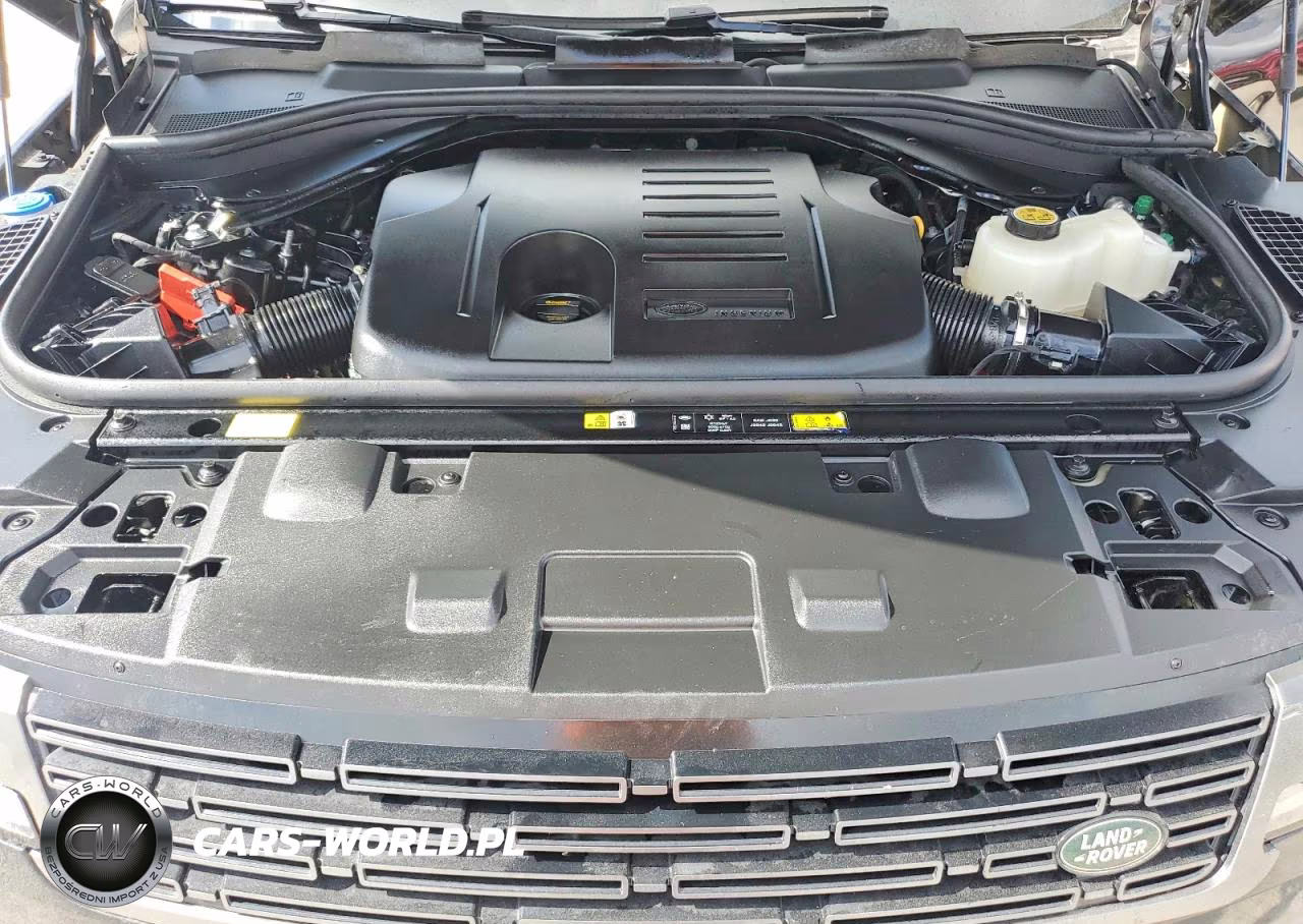 2025 Land Rover Range Rover Sport Se VIN:SAL1P9EU8SA459296 - 12