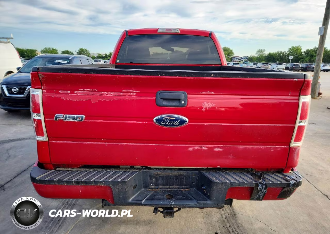 2009 Ford F150 VIN:1FTRF12W59KC06851 - 6
