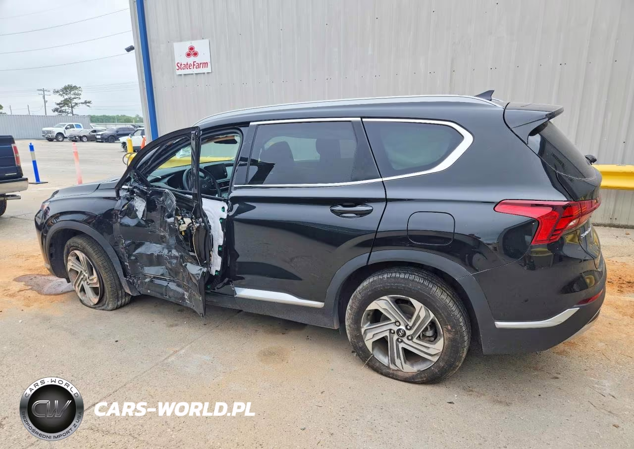 2021 Hyundai Santa Fe Sel VIN:5NMS24AJ3MH321649 - 2