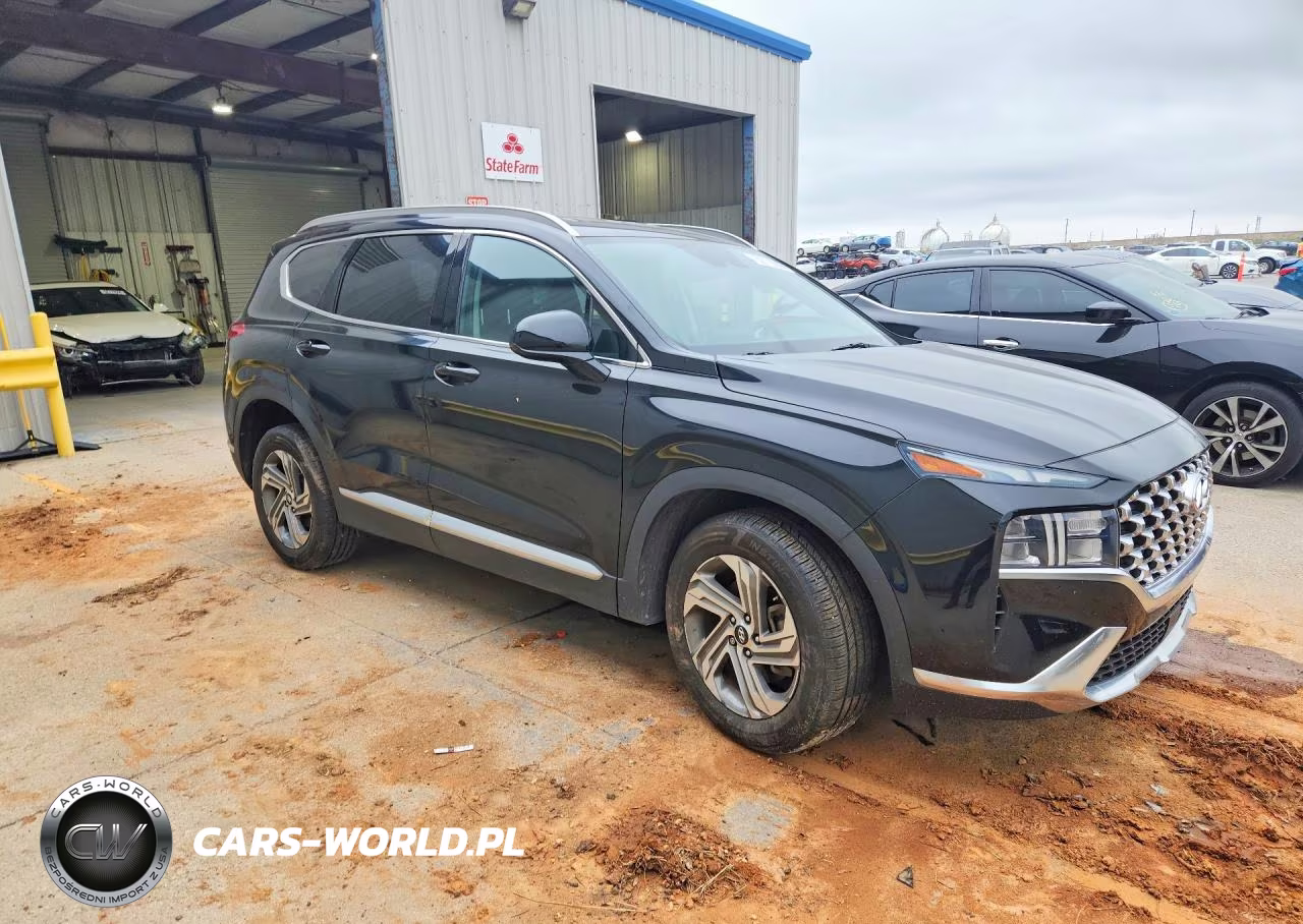 2021 Hyundai Santa Fe Sel VIN:5NMS24AJ3MH321649 - 4