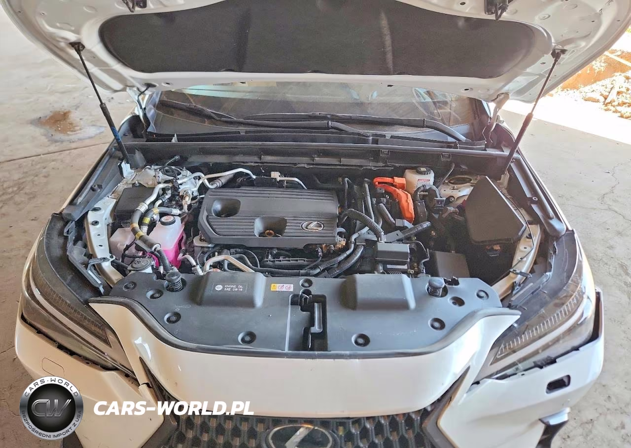 2024 Lexus Nx 450H+ Base VIN:JTJHKCFZ1R2027730 - 12