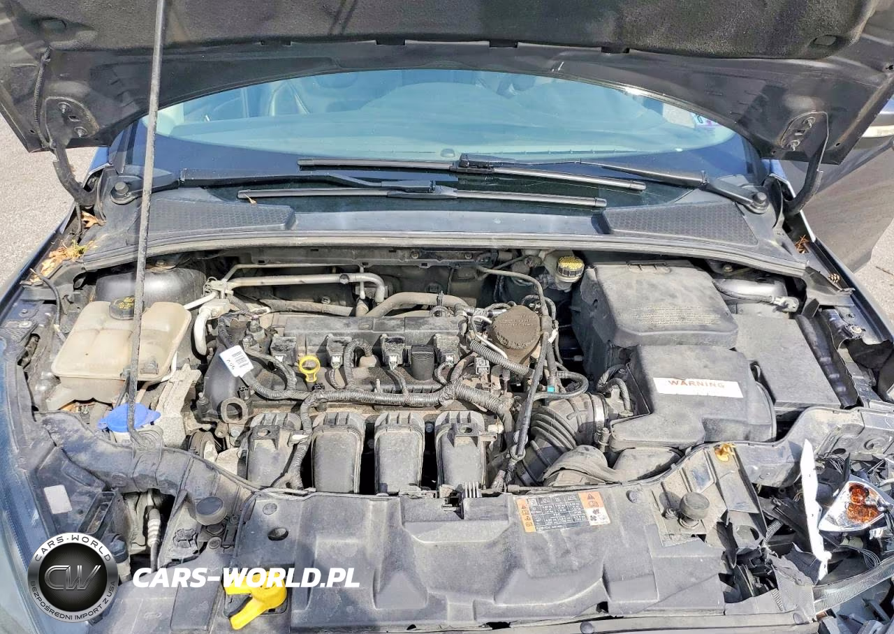 2015 Ford Focus Se VIN:1FADP3F23FL338402 - 11