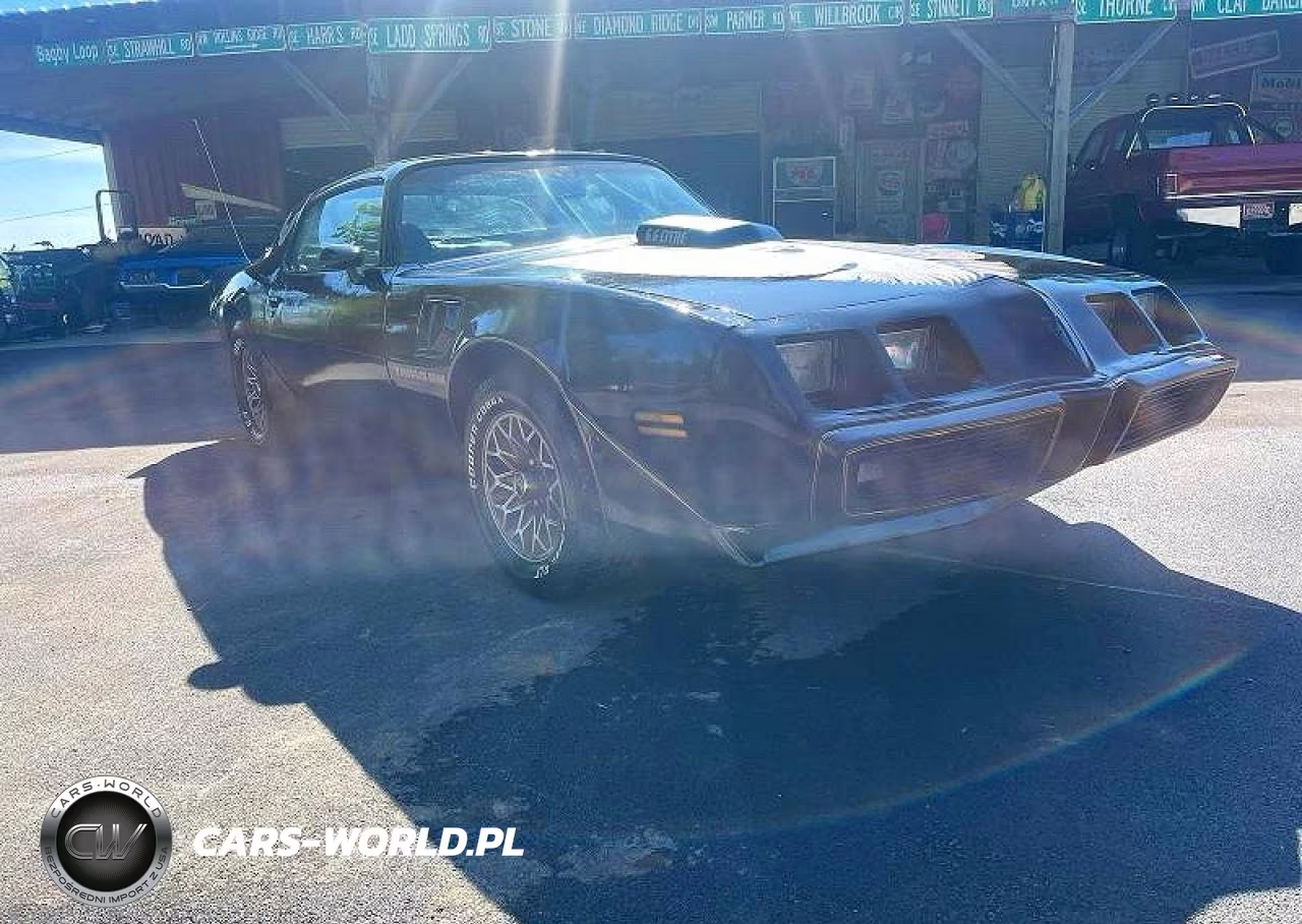 1981 Pontiac Firebird Trans Am