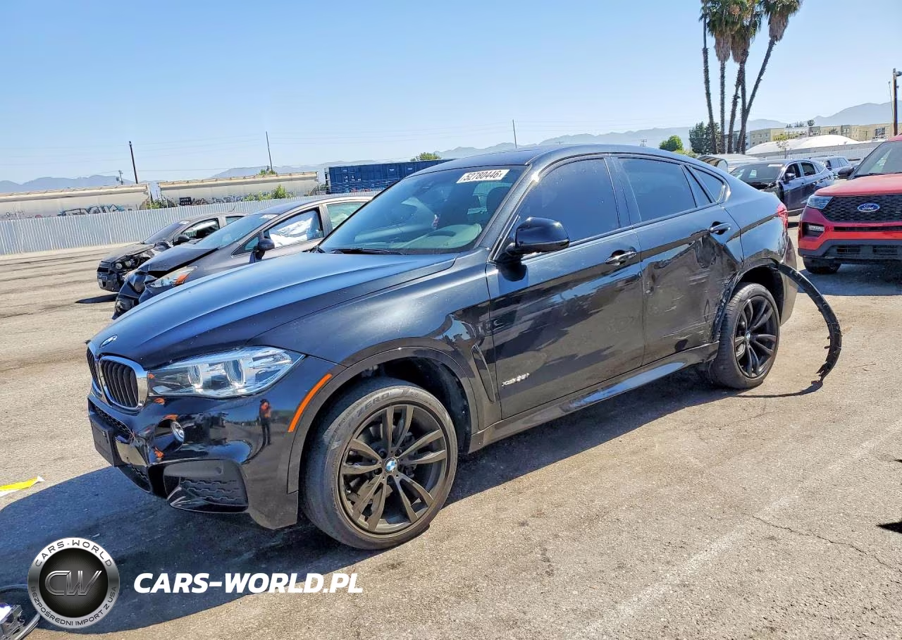 2019 BMW X6 xDrive35I – zdjęcie 1 z 13