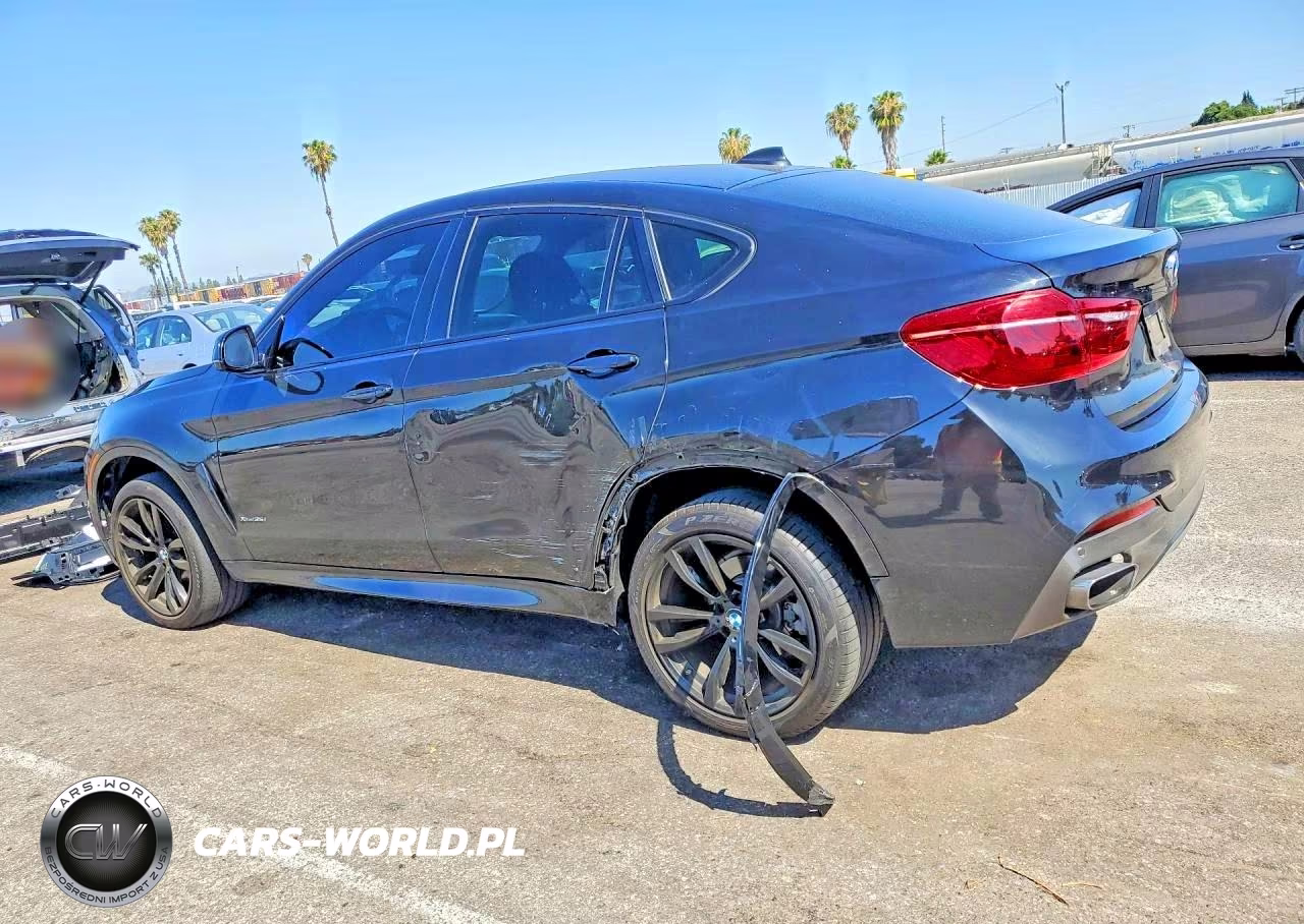2019 BMW X6 xDrive35I VIN:5UXKU2C54K0Z64876 - 2
