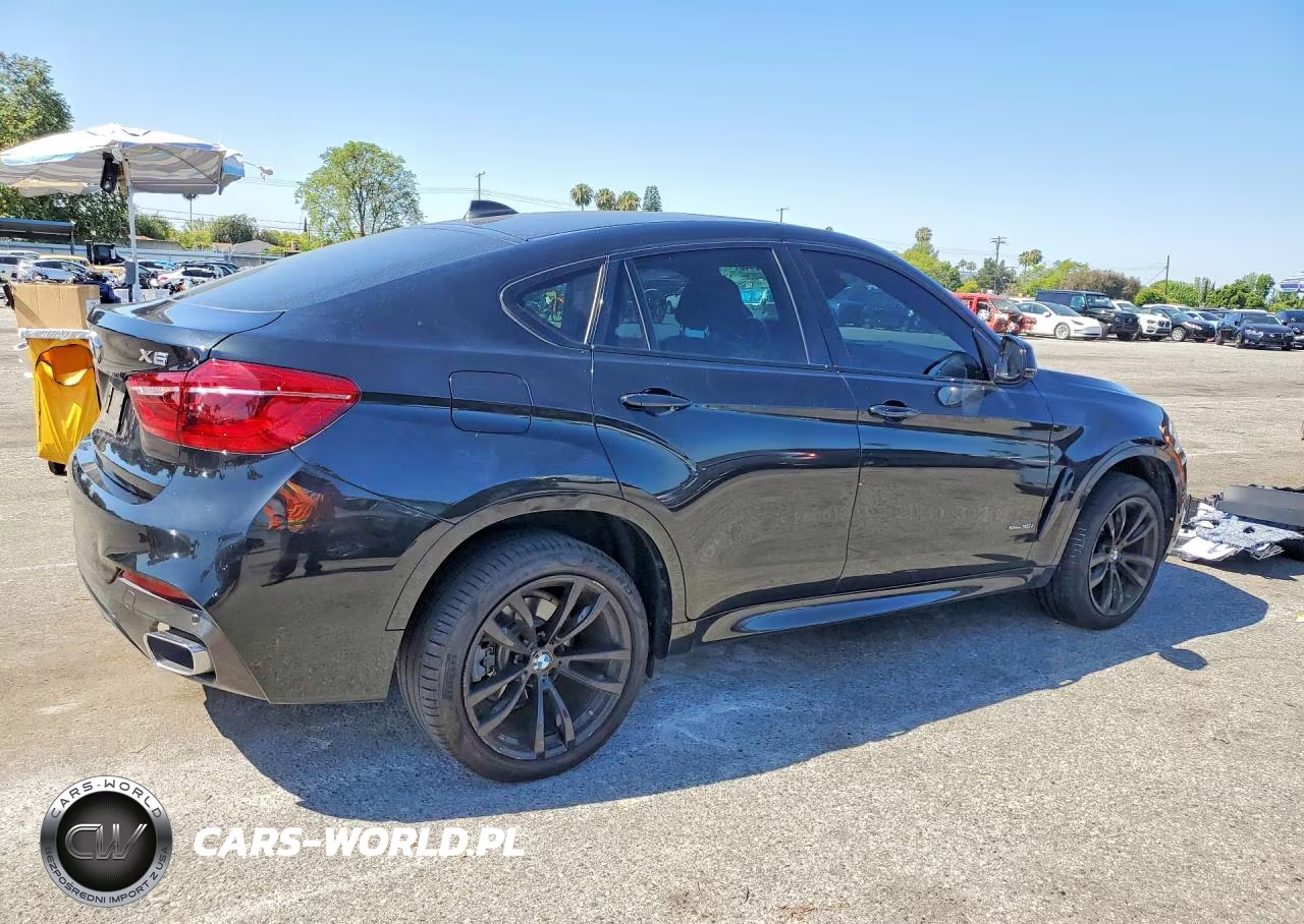 2019 BMW X6 xDrive35I VIN:5UXKU2C54K0Z64876 - 3