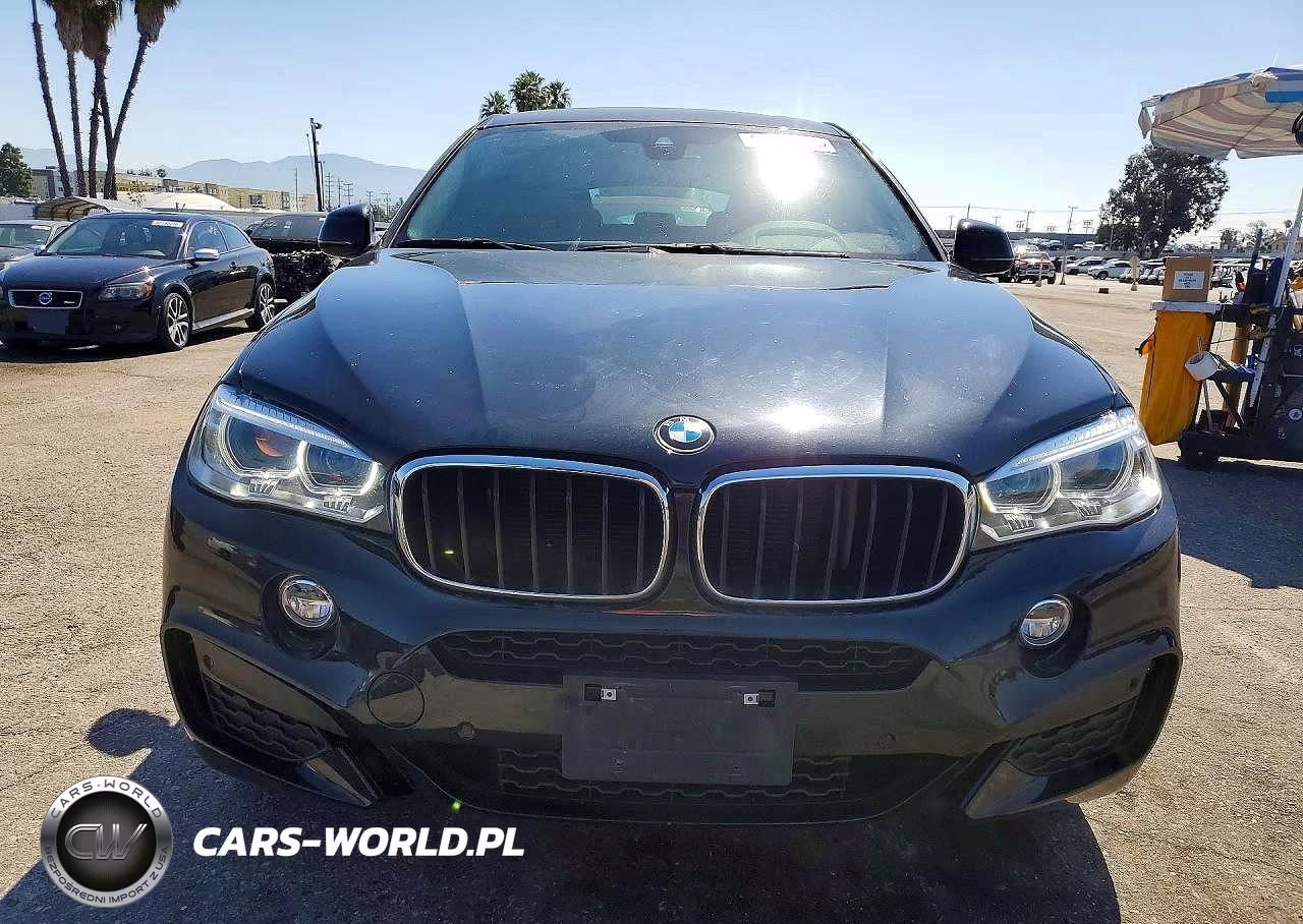 2019 BMW X6 xDrive35I VIN:5UXKU2C54K0Z64876 - 5