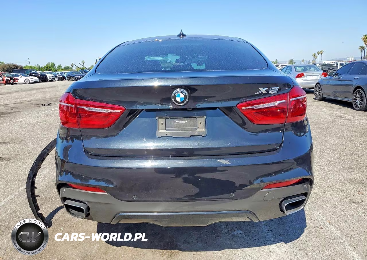 2019 BMW X6 xDrive35I VIN:5UXKU2C54K0Z64876 - 6