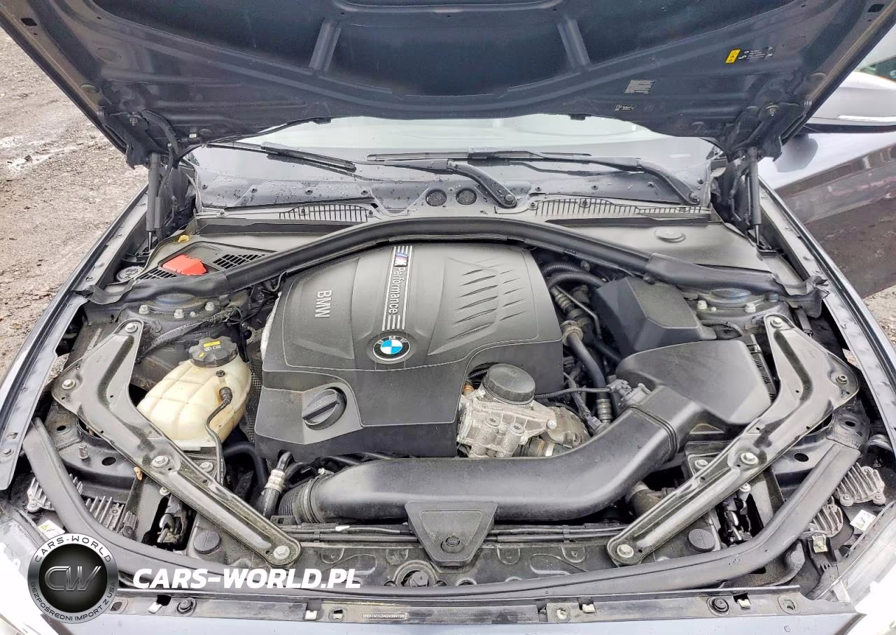 2016 BMW M235I VIN:WBA1M1C54GV394196 - 11