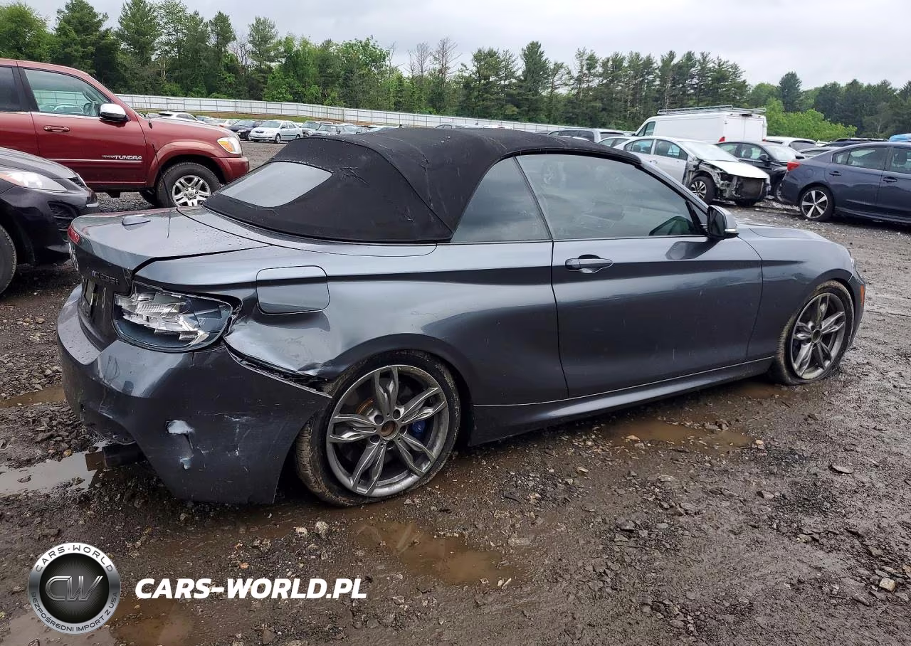 2016 BMW M235I VIN:WBA1M1C54GV394196 - 3