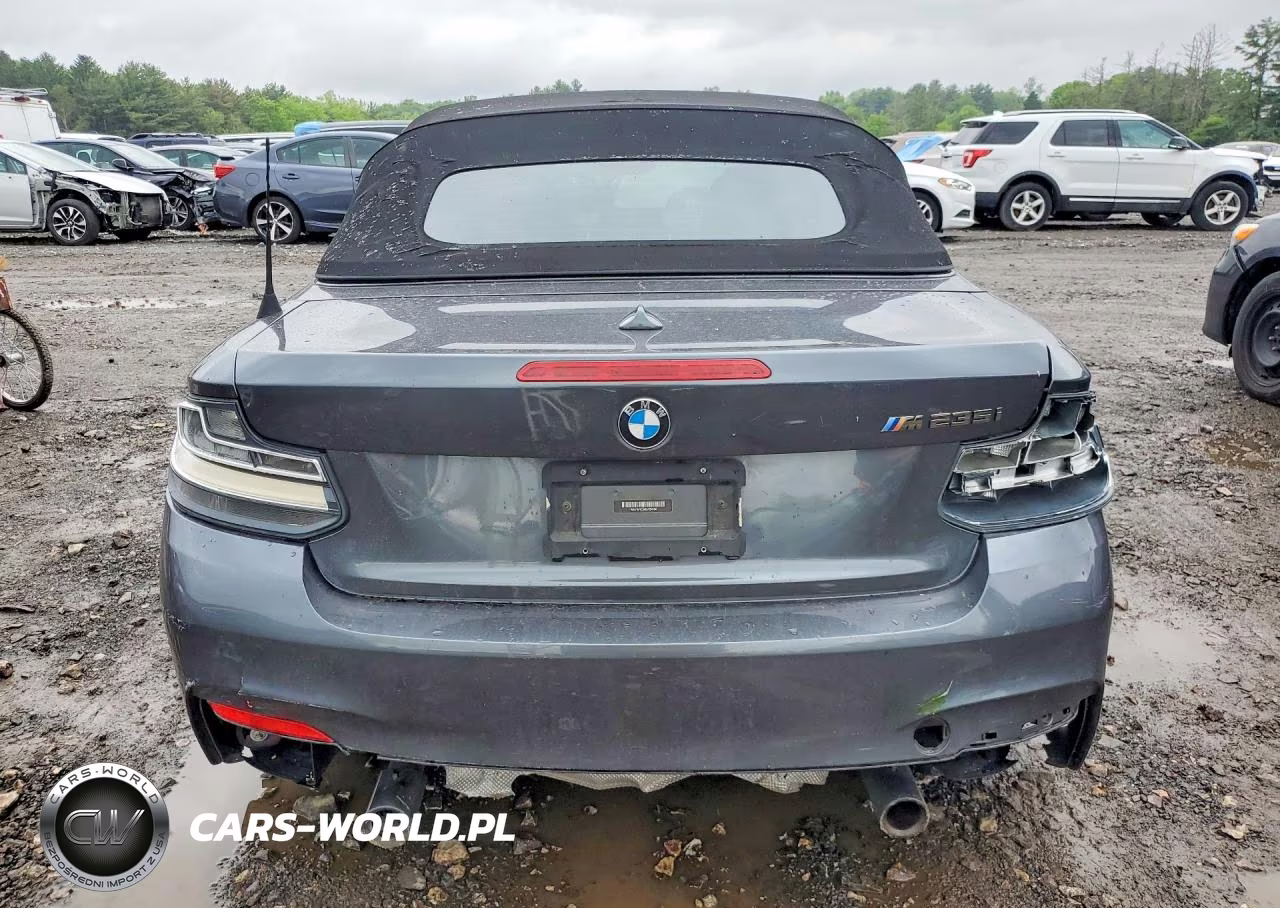 2016 BMW M235I VIN:WBA1M1C54GV394196 - 6
