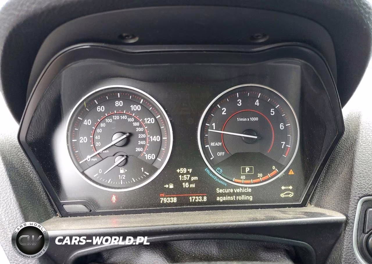 2016 BMW M235I VIN:WBA1M1C54GV394196 - 9