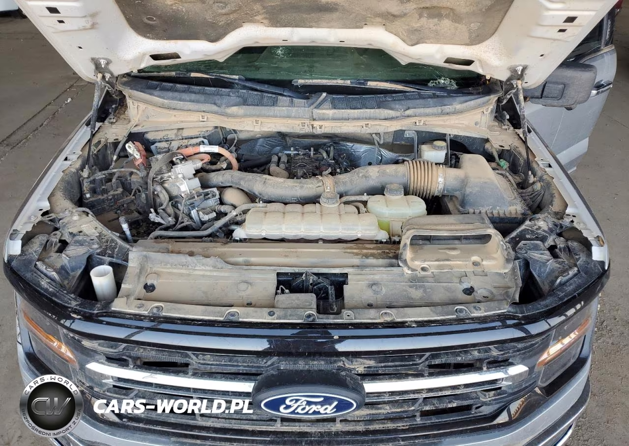 2021 Ford F150 Supercrew VIN:1FTFW1ED0MFB43205 - 11