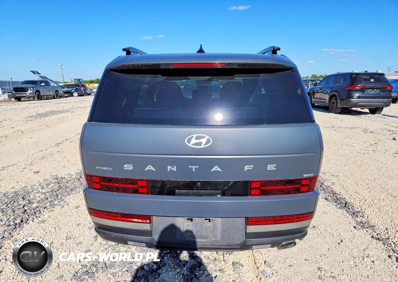 2024 Hyundai Santa Fe Limited VIN:5NMP4DGL9RH060074 - 6