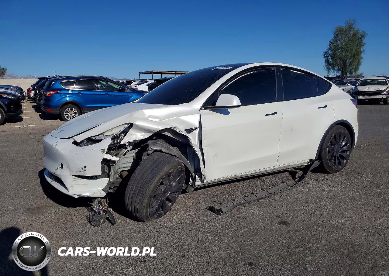 2020 Tesla Model Y