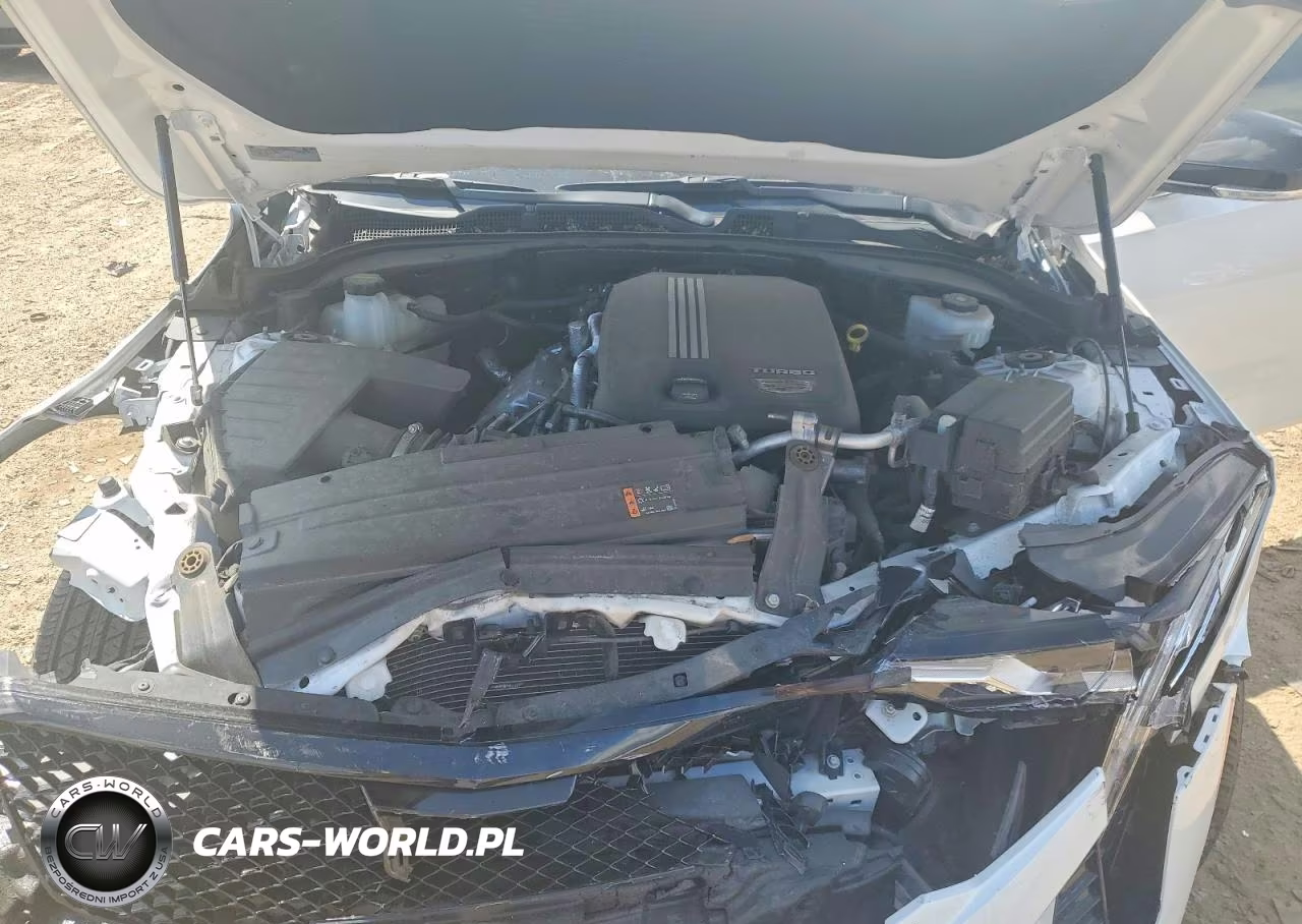 2024 Cadillac Ct4 Luxury + VIN:1G6DK5RK5R0126691 - 11