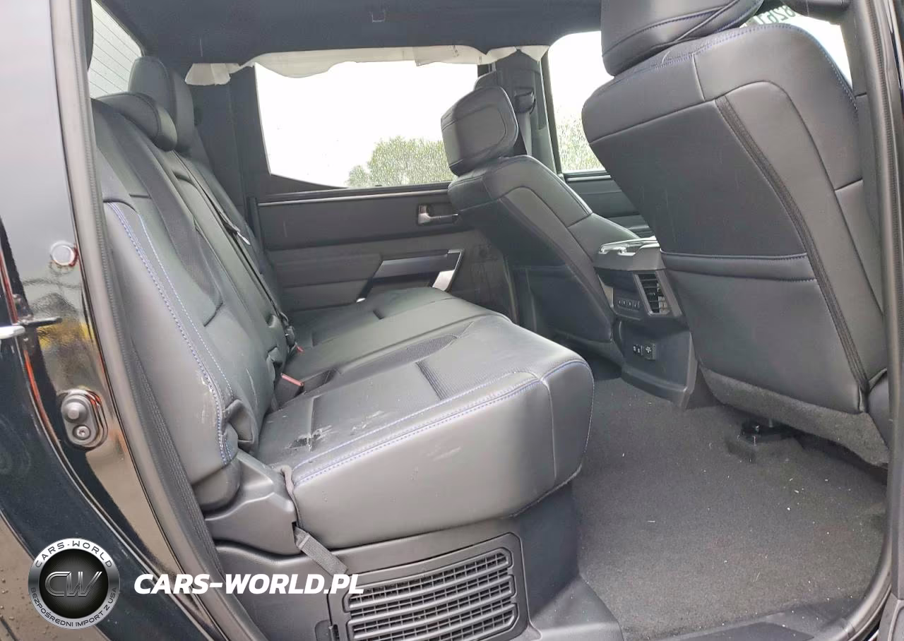 2024 Toyota Tundra Platinum Hv VIN:5TFNC5DB3RX062681 - 10