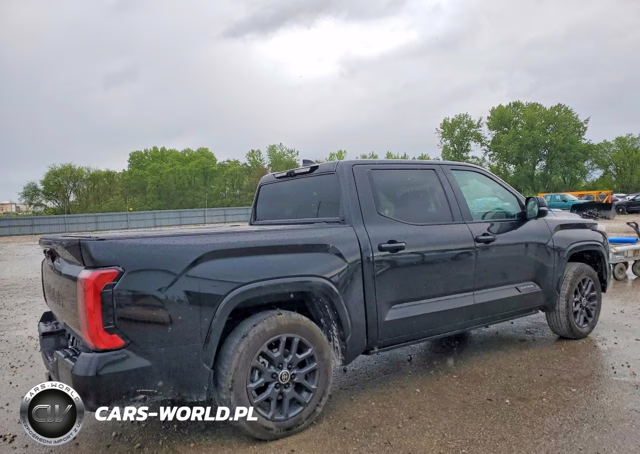 2024 Toyota Tundra Platinum Hv VIN:5TFNC5DB3RX062681 - 3