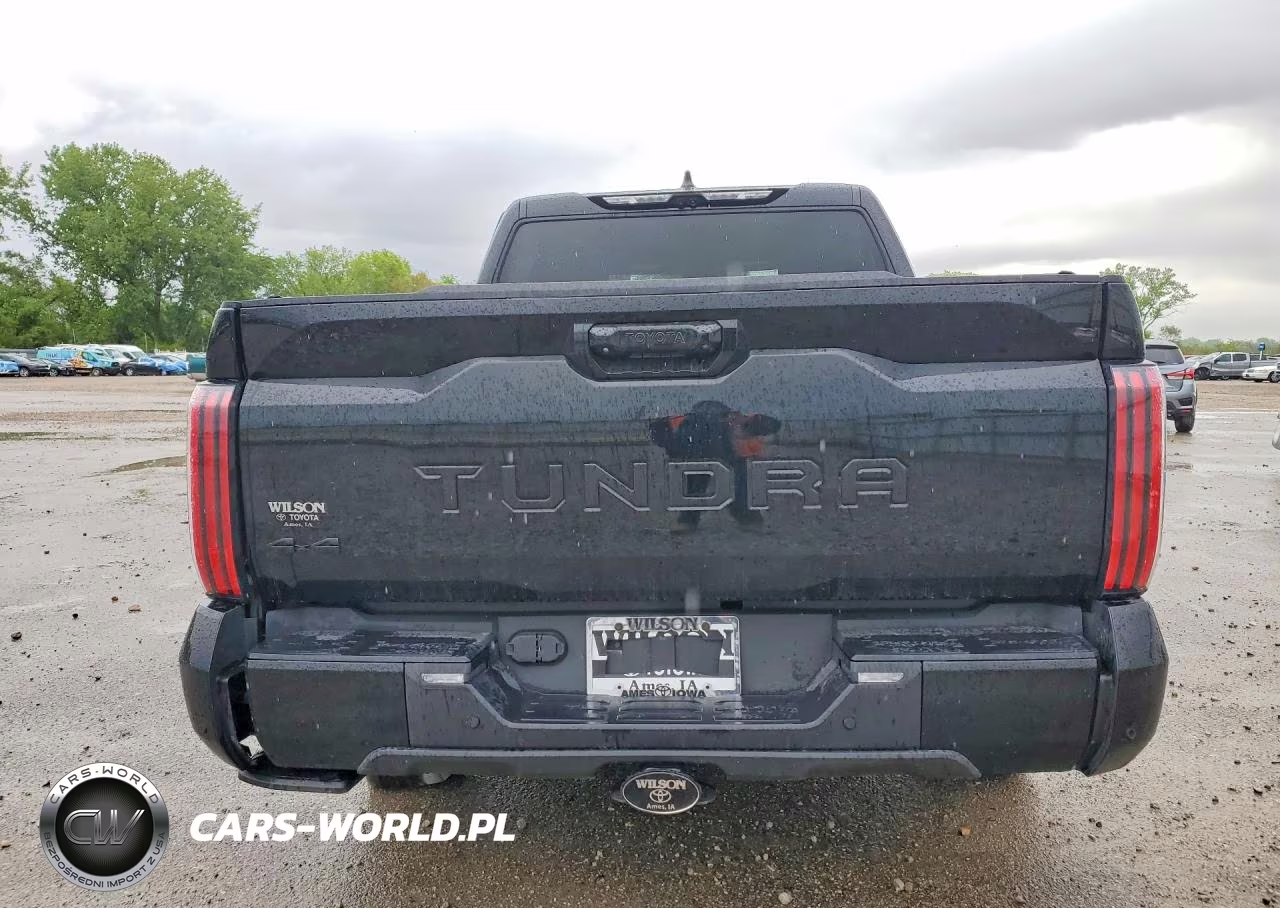 2024 Toyota Tundra Platinum Hv VIN:5TFNC5DB3RX062681 - 6