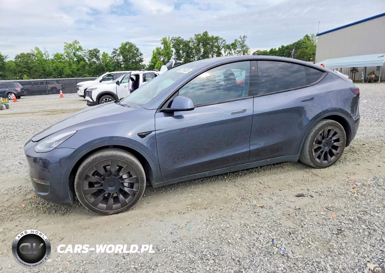 2020 Tesla Model Y