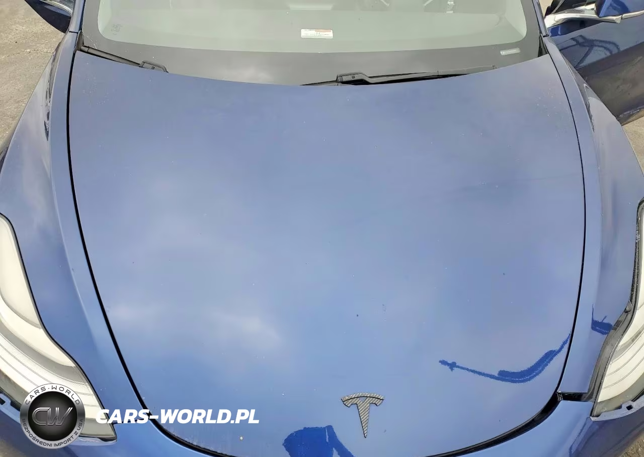 2019 Tesla Model 3 VIN:5YJ3E1EB6KF419876 - 11