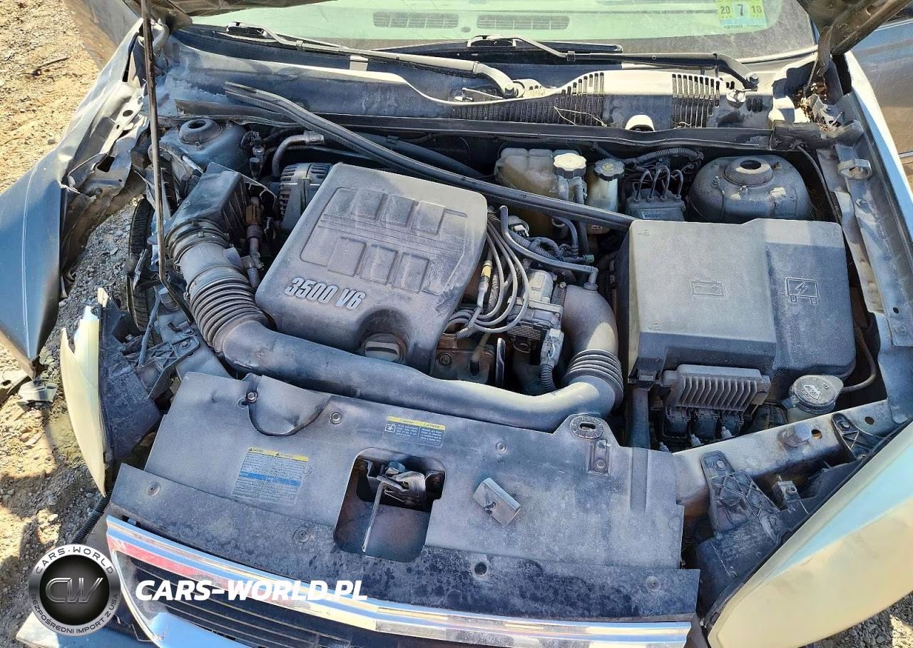 2006 Chevrolet Malibu Lt VIN:1G1ZT51816F256291 - 12