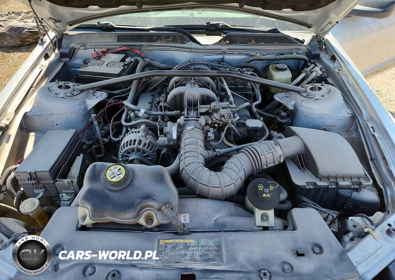 2006 Ford Mustang VIN:1ZVFT80N865204758 - 12