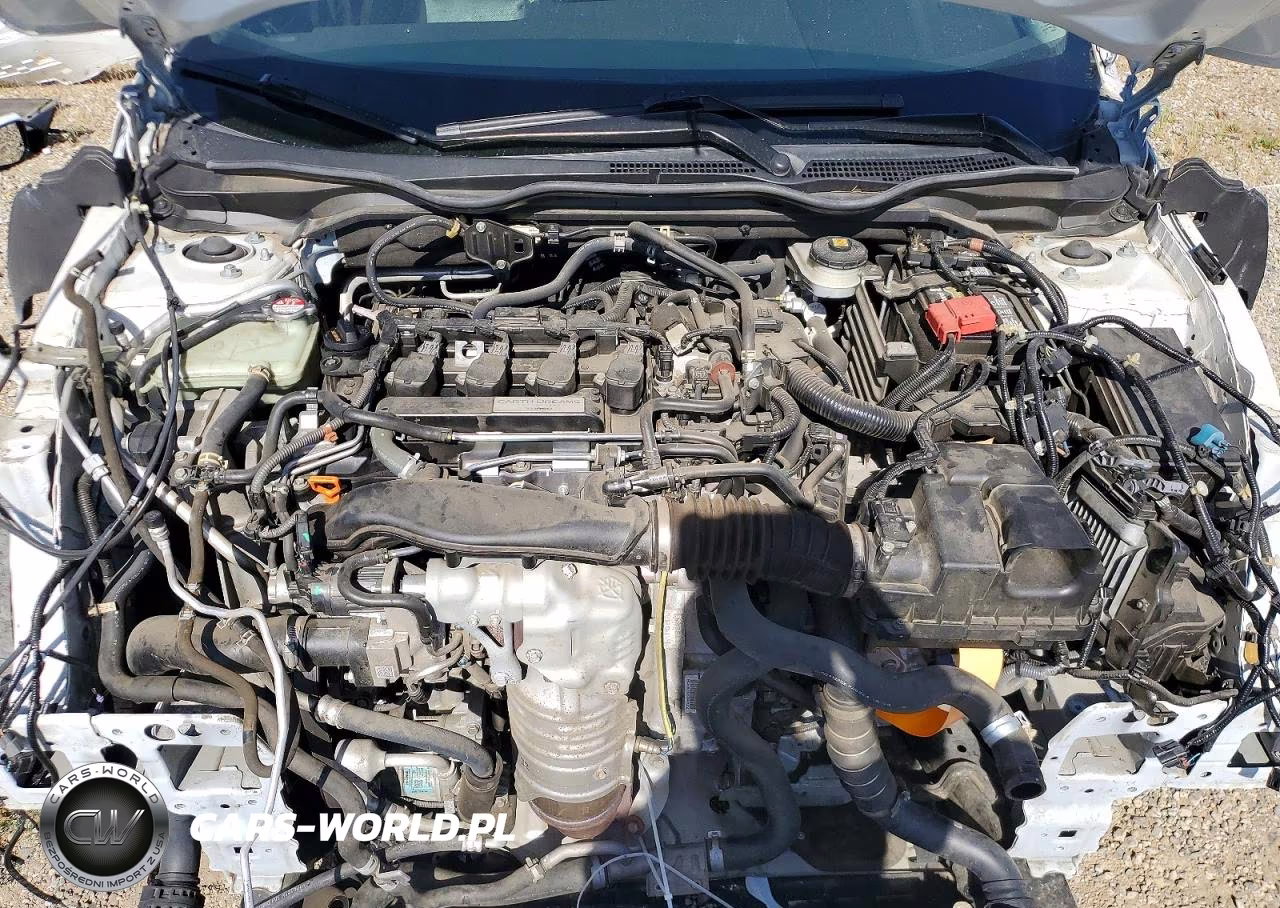 2019 Honda Civic Exl VIN:JHMFC1F70KX002920 - 11