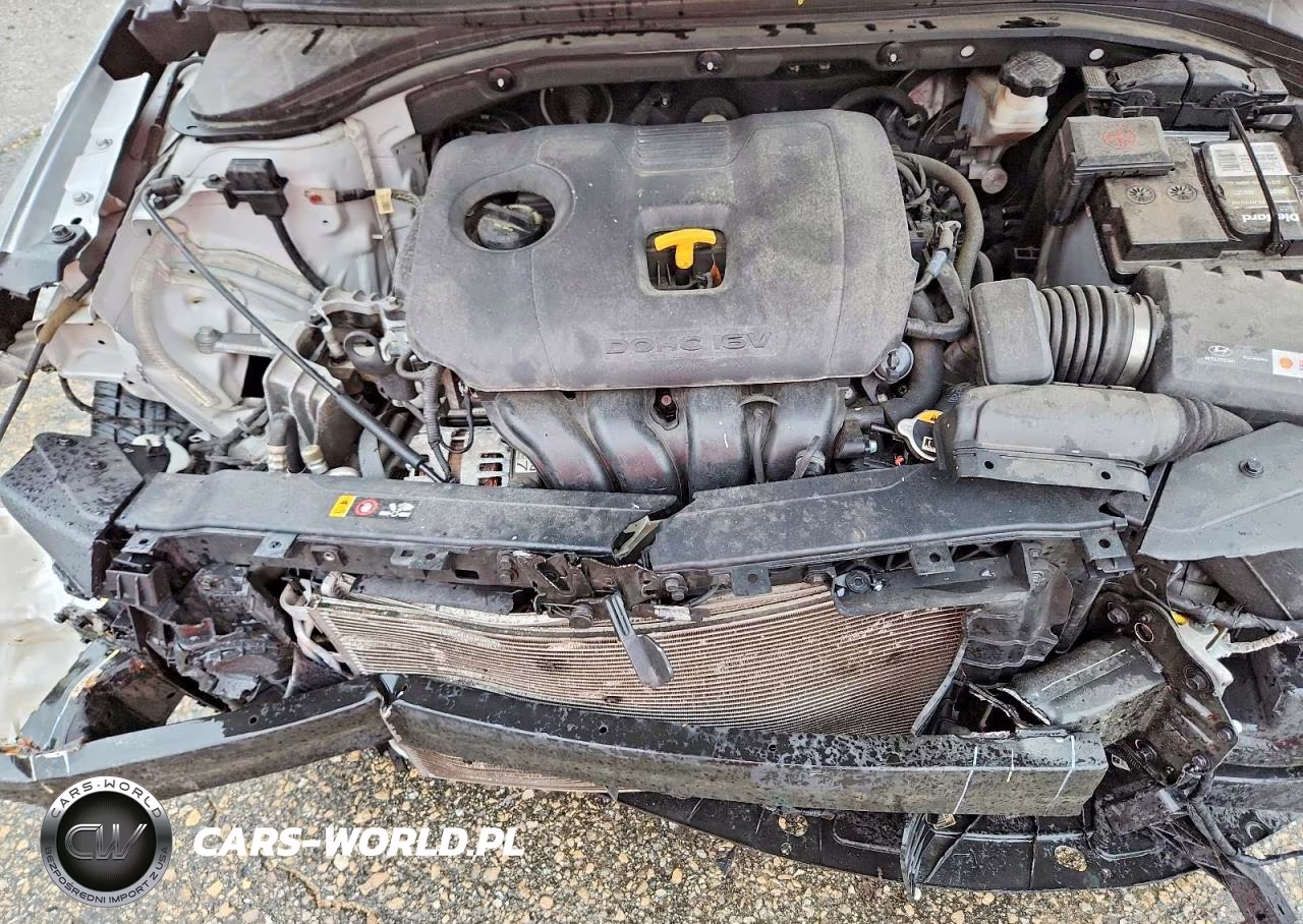 2019 Hyundai Elantra Sel VIN:KMHD84LF4KU858533 - 11