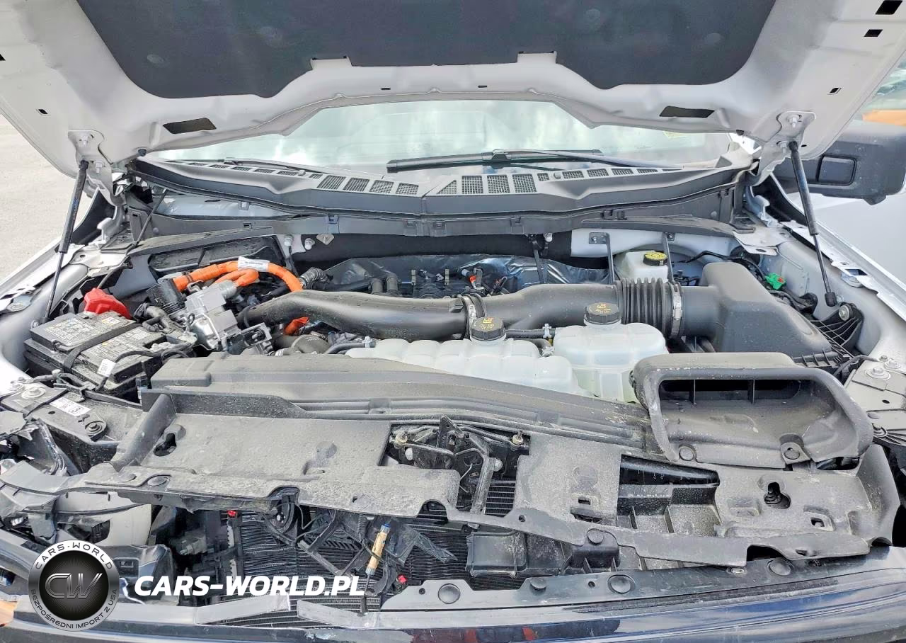 2025 Ford F150 Xlt VIN:1FTFW3LD7SFA92734 - 11