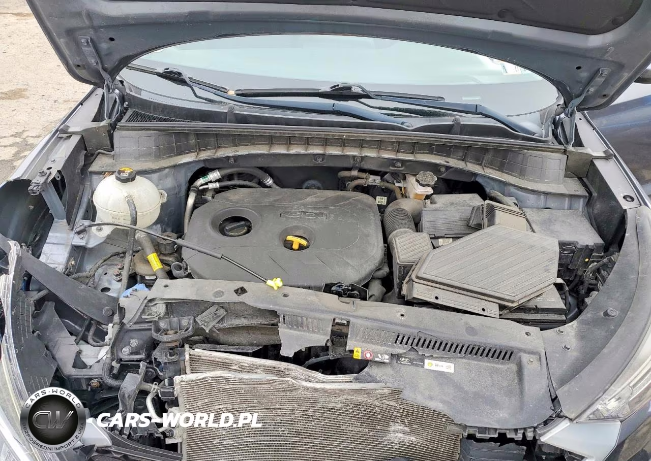 2019 Hyundai Tucson Se VIN:KM8J2CA42KU983384 - 12