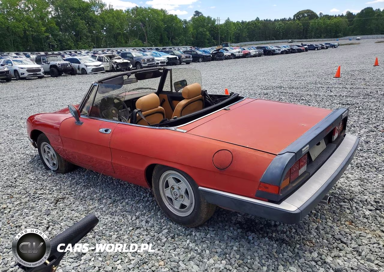 1986 Alfa Romeo Veloce 2000 Spider VIN:ZARBA5415G1038128 - 2