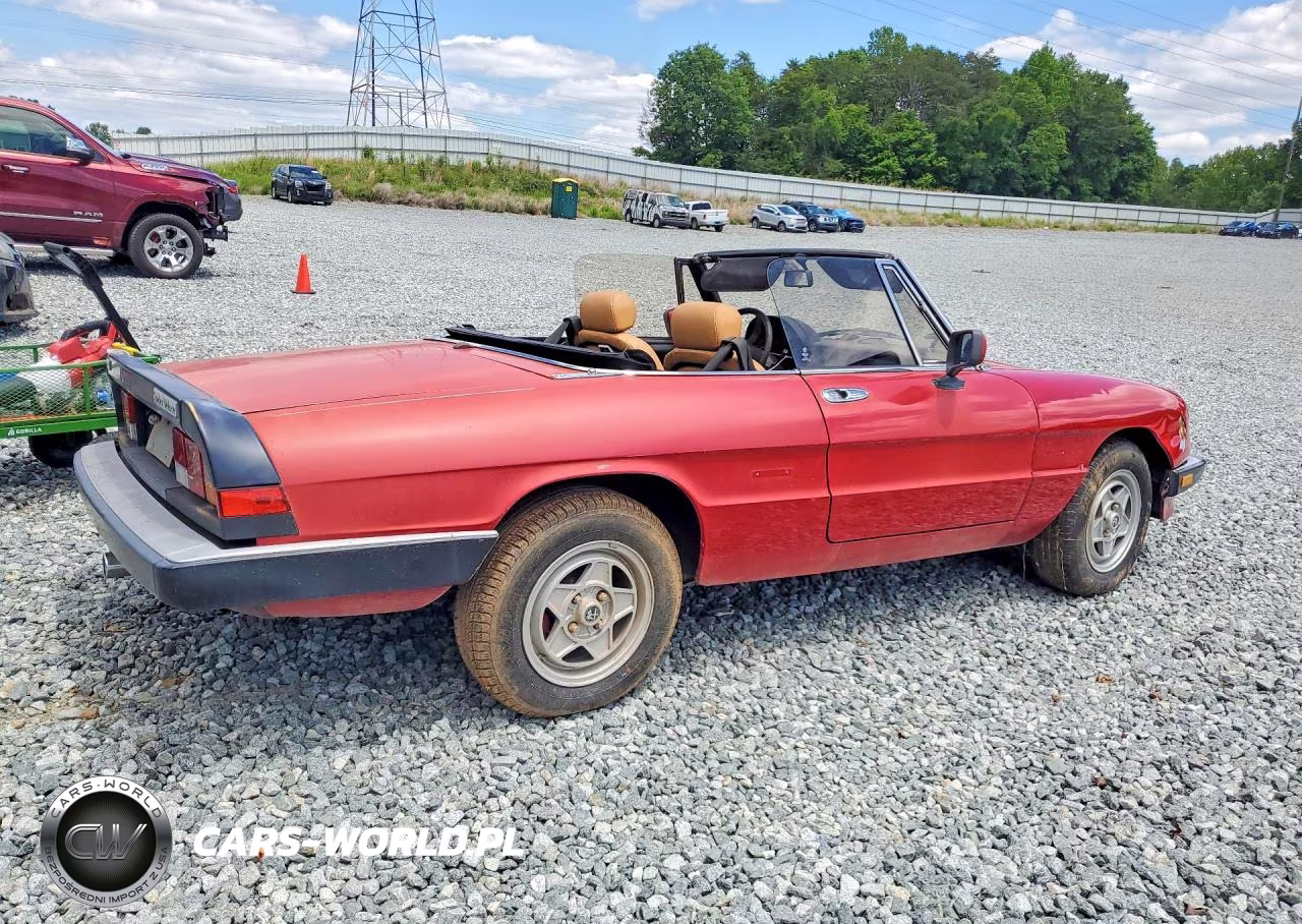 1986 Alfa Romeo Veloce 2000 Spider VIN:ZARBA5415G1038128 - 3