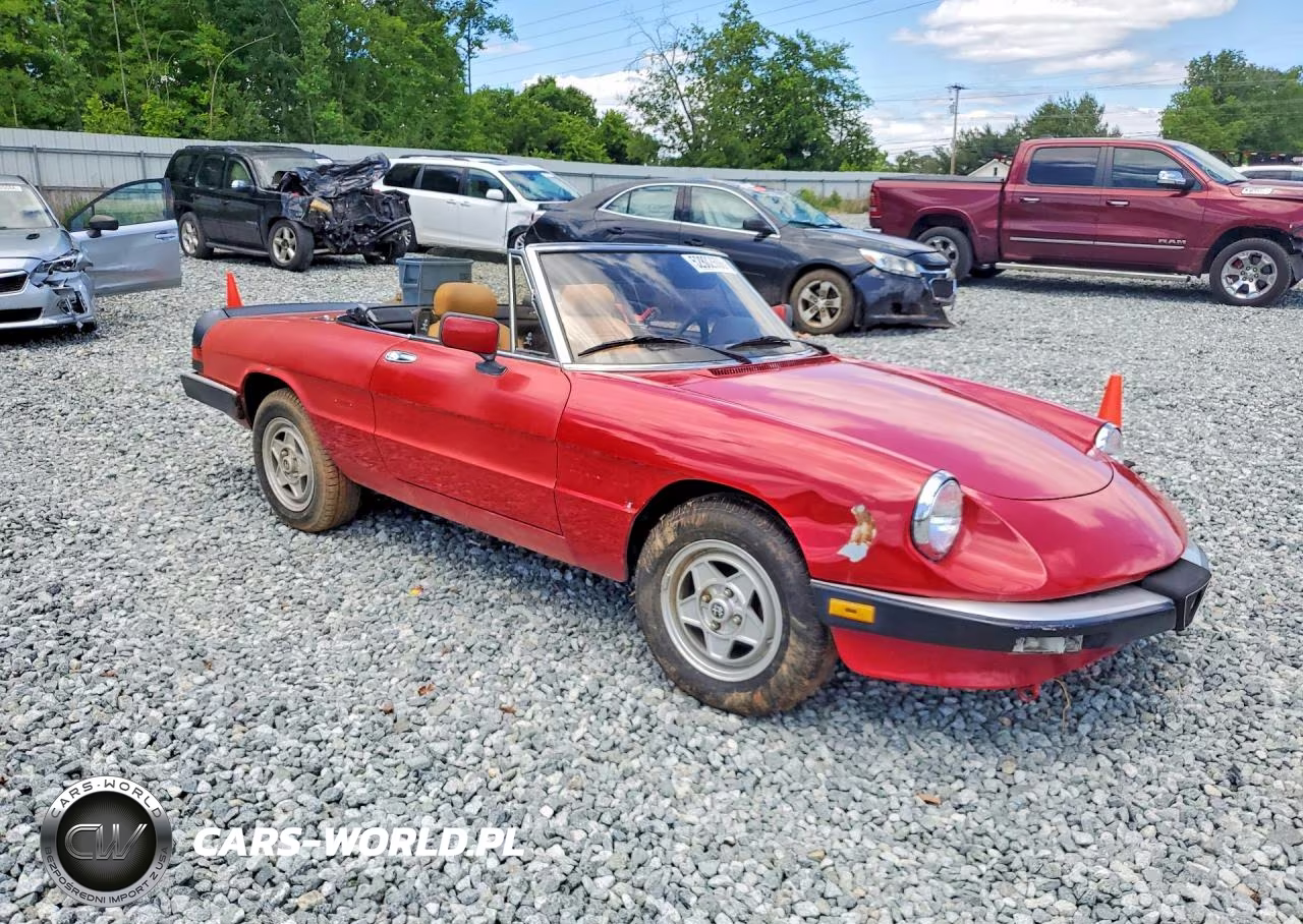 1986 Alfa Romeo Veloce 2000 Spider VIN:ZARBA5415G1038128 - 4