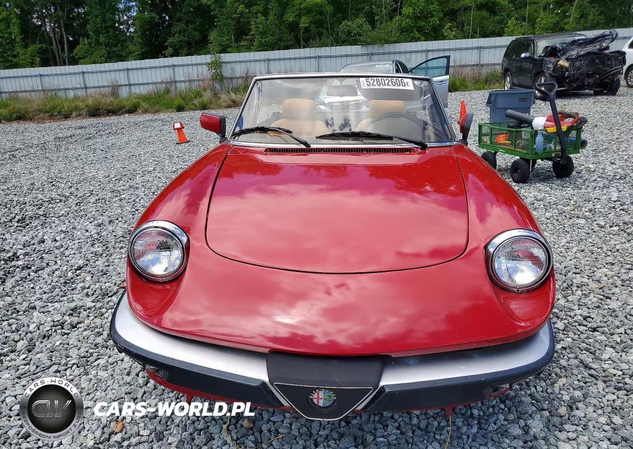 1986 Alfa Romeo Veloce 2000 Spider VIN:ZARBA5415G1038128 - 5