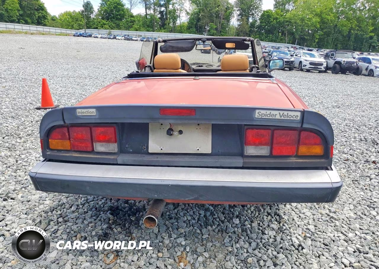 1986 Alfa Romeo Veloce 2000 Spider VIN:ZARBA5415G1038128 - 6
