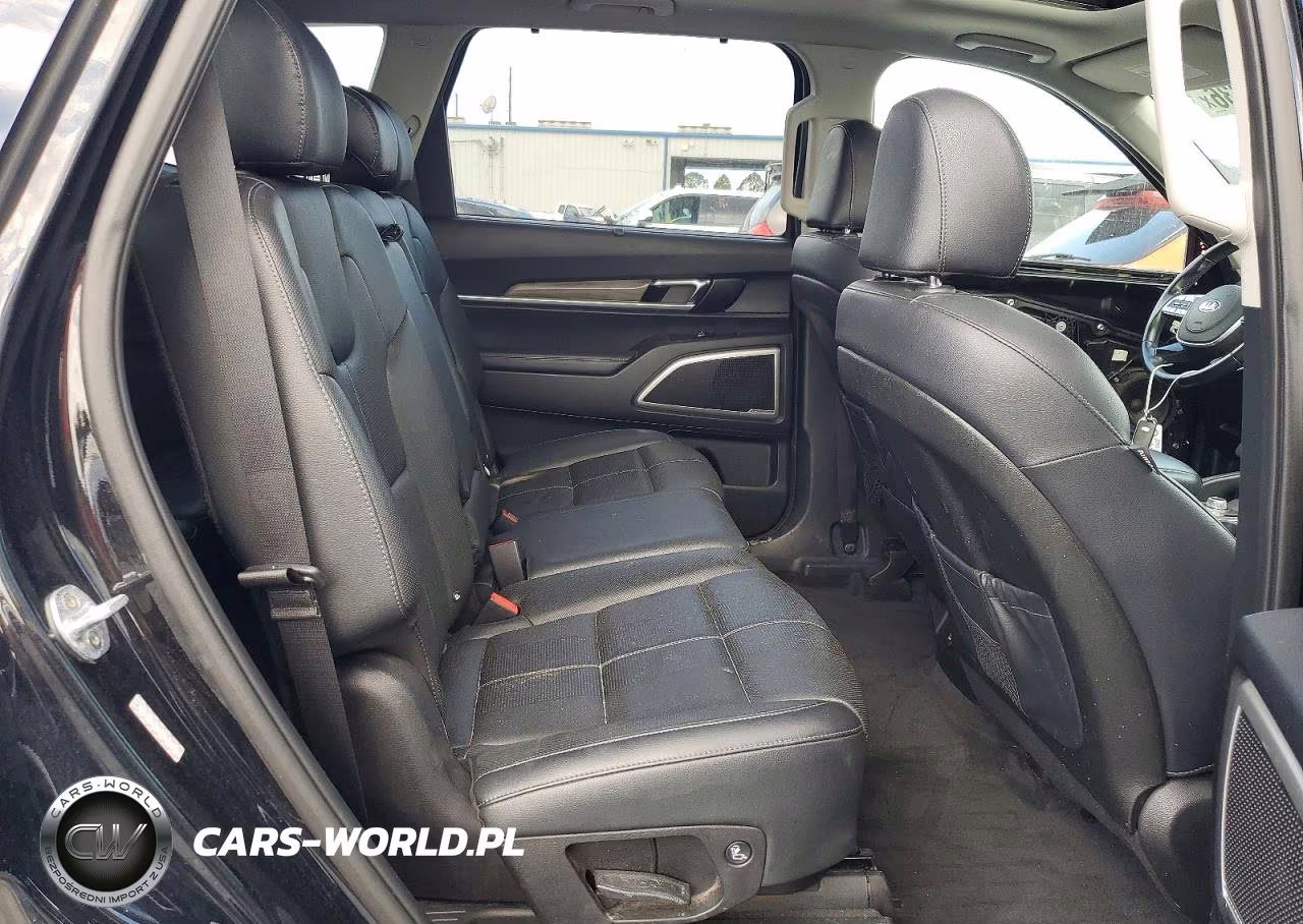 2020 Kia Telluride Ex VIN:5XYP3DHC0LG022560 - 11