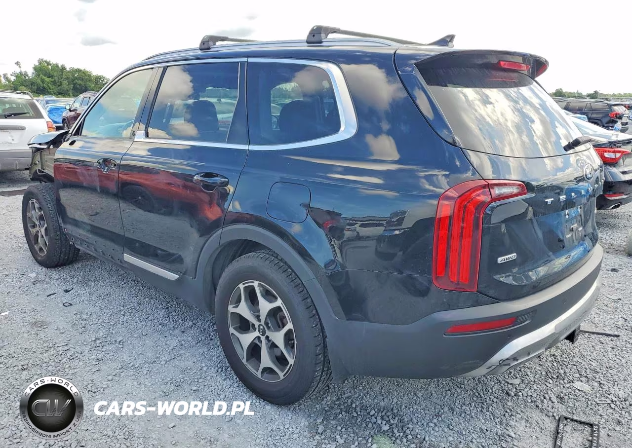 2020 Kia Telluride Ex VIN:5XYP3DHC0LG022560 - 2