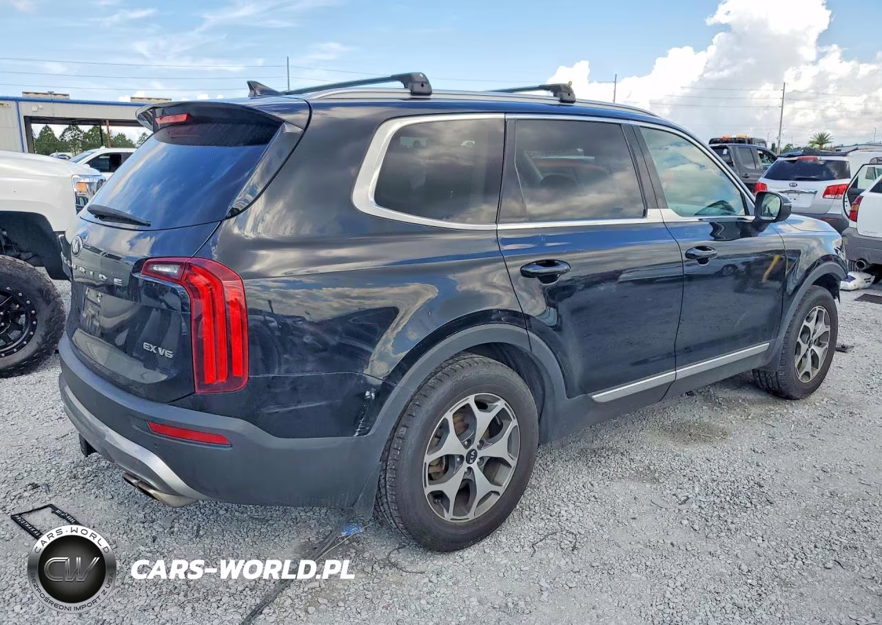 2020 Kia Telluride Ex VIN:5XYP3DHC0LG022560 - 3