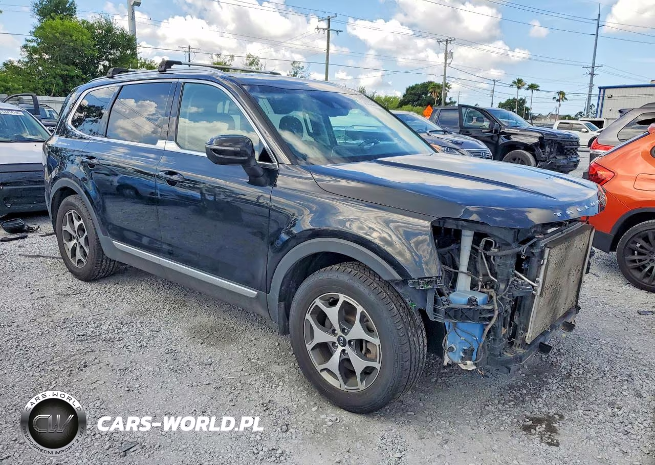 2020 Kia Telluride Ex VIN:5XYP3DHC0LG022560 - 4