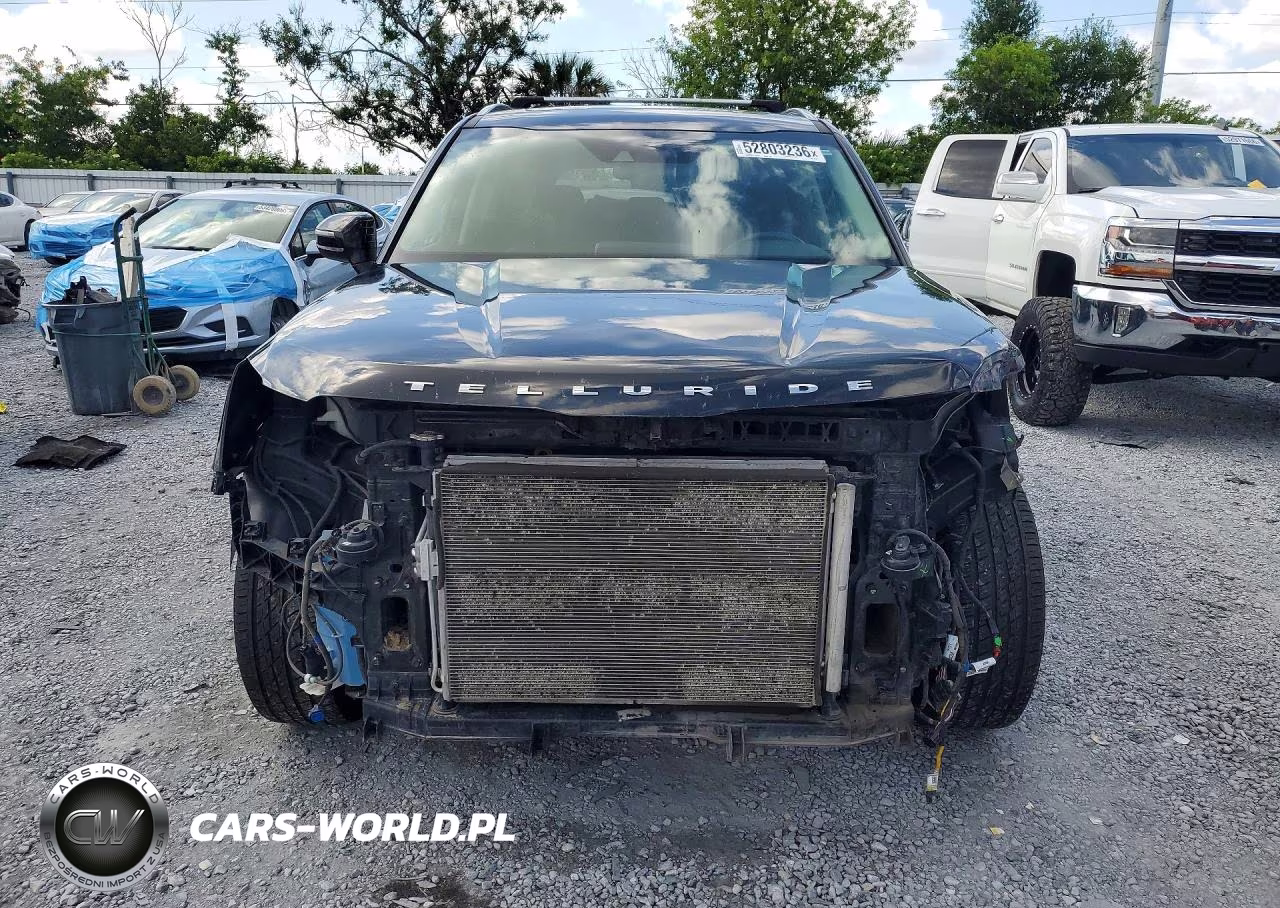 2020 Kia Telluride Ex VIN:5XYP3DHC0LG022560 - 5