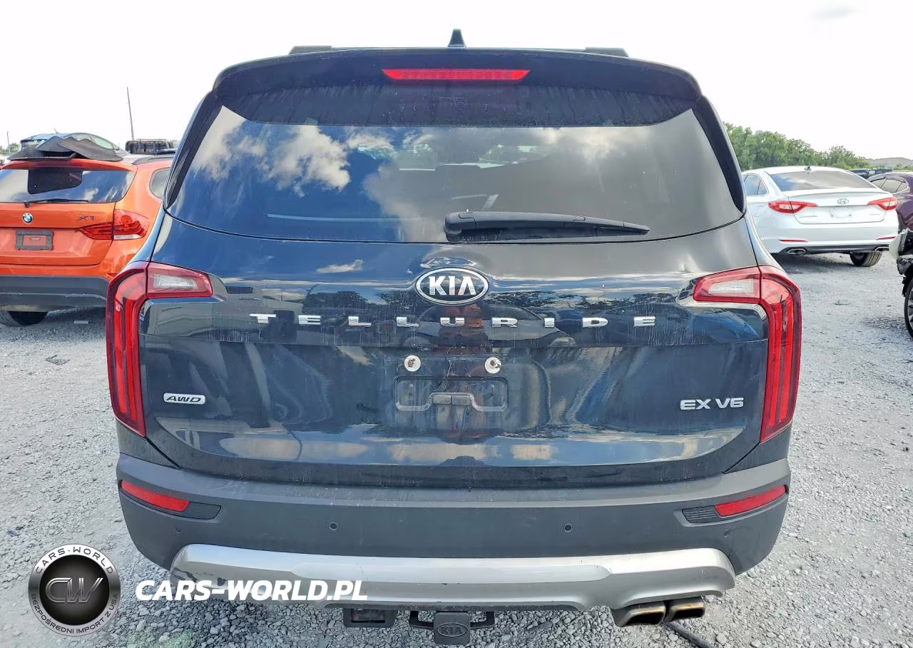 2020 Kia Telluride Ex VIN:5XYP3DHC0LG022560 - 6